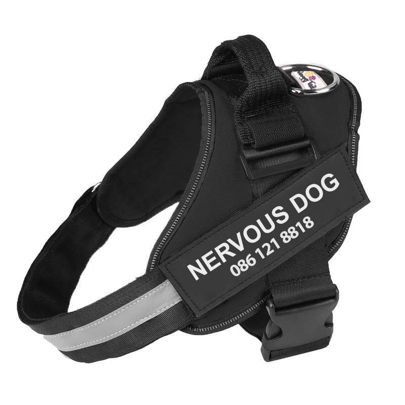 Personalised No Pull Dog Harness - YOKE FINDS 🇮🇪 IE 