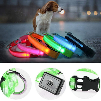 Adjustable LED Glowing Pet Collar - yokefinds.ie