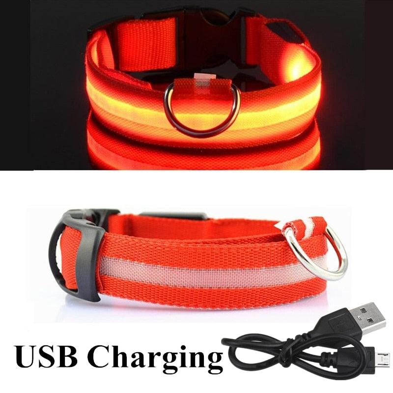 Adjustable LED Glowing Pet Collar - yokefinds.ie