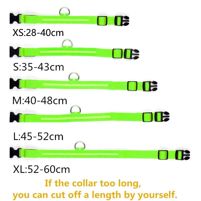 Adjustable LED Glowing Pet Collar - yokefinds.ie